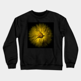 Backyard Flowers No 10 Color Flow Version Crewneck Sweatshirt